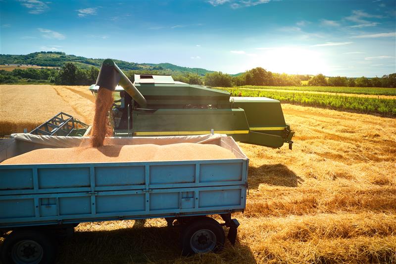Impactos da Sazonalidade no Agronegócio e Como a Tecnologia Pode Ser Aliada 