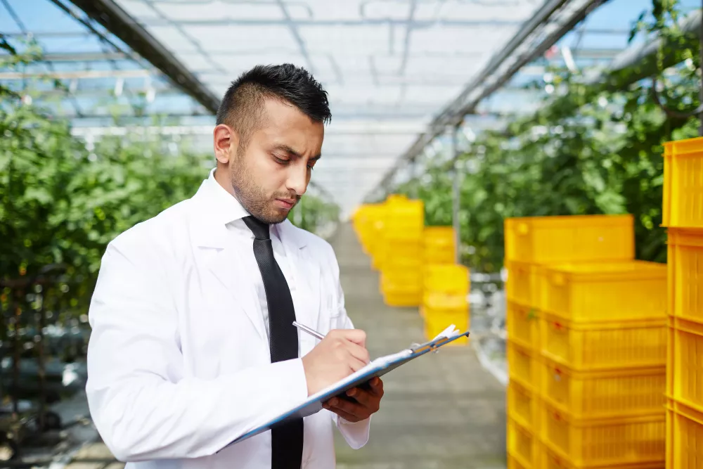 Logística no agronegócio eficiência do campo ao destino