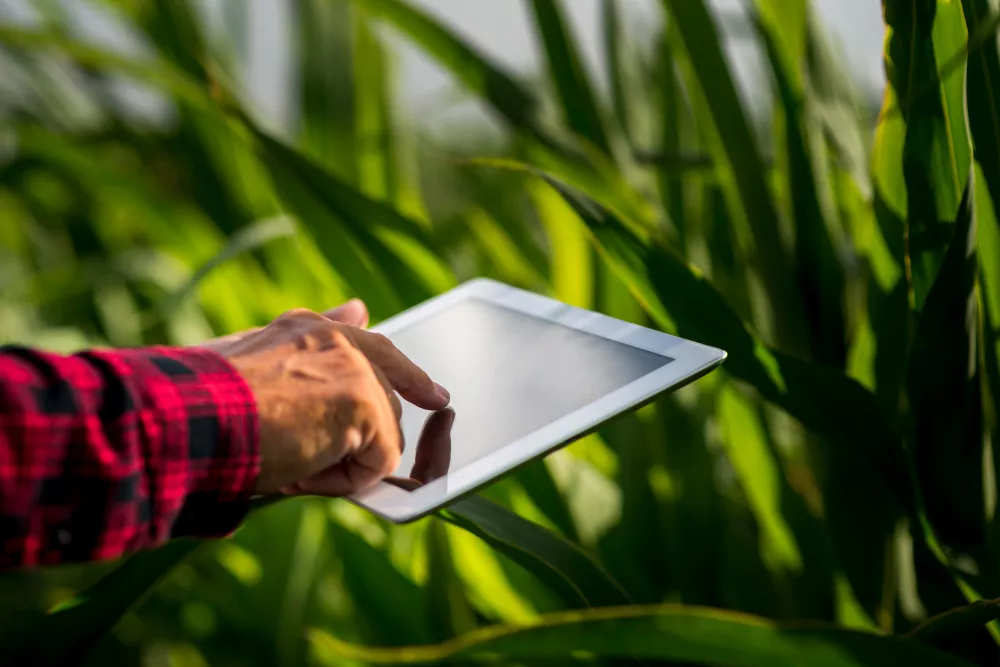 Logística da safra e escoamento eficiente com tecnologia